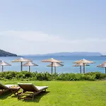 Milia * Paralia Milia