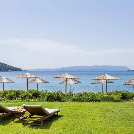 Milia * Paralia Milia